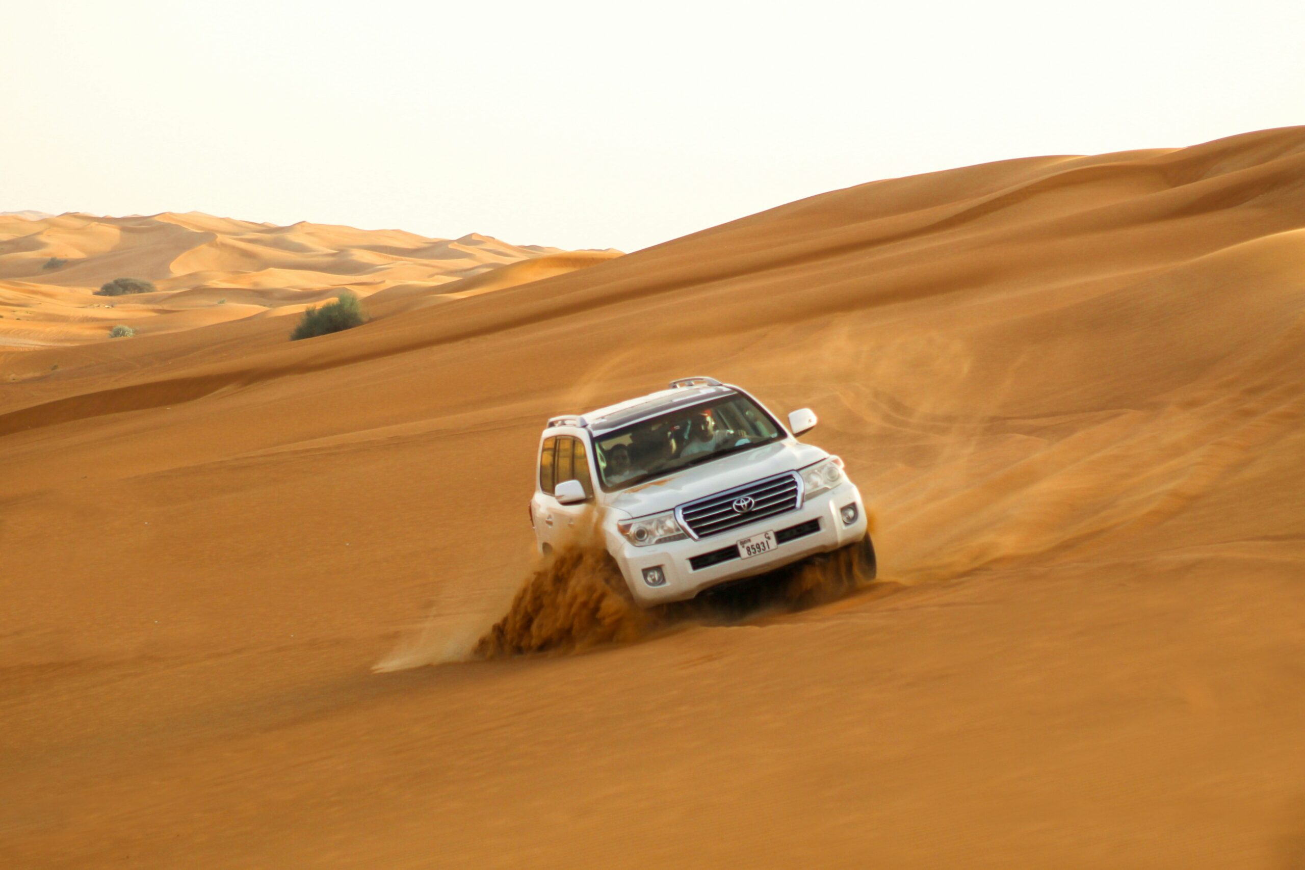 Discover golden dunes, sunset camel rides, and overnight desert camping experiences.